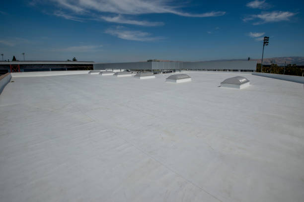 Roof Coating Services in Freeport, FL